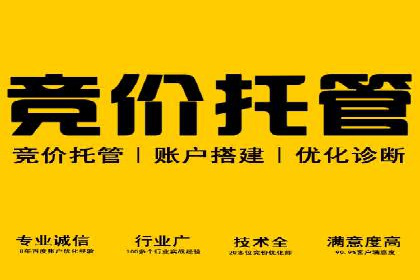 专业SEM代运营公司案例分析
